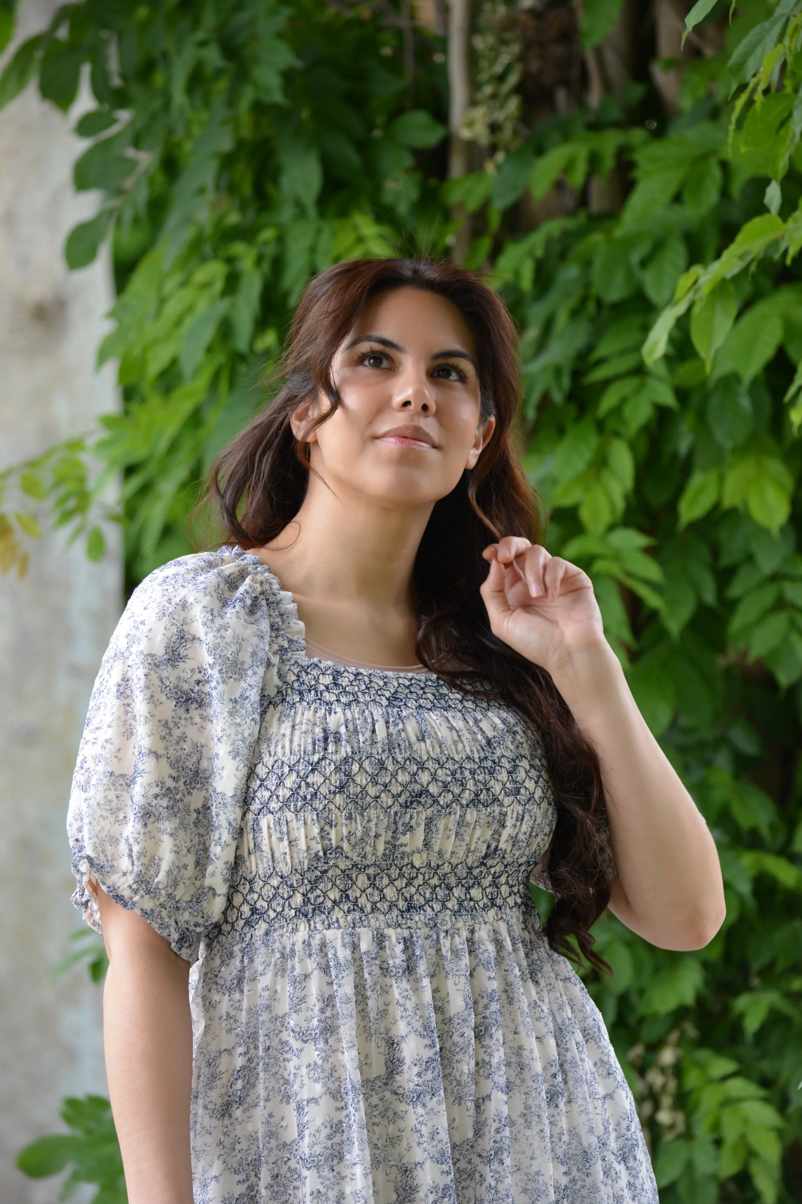 Alyssa Navy Toile Embroidered Dress