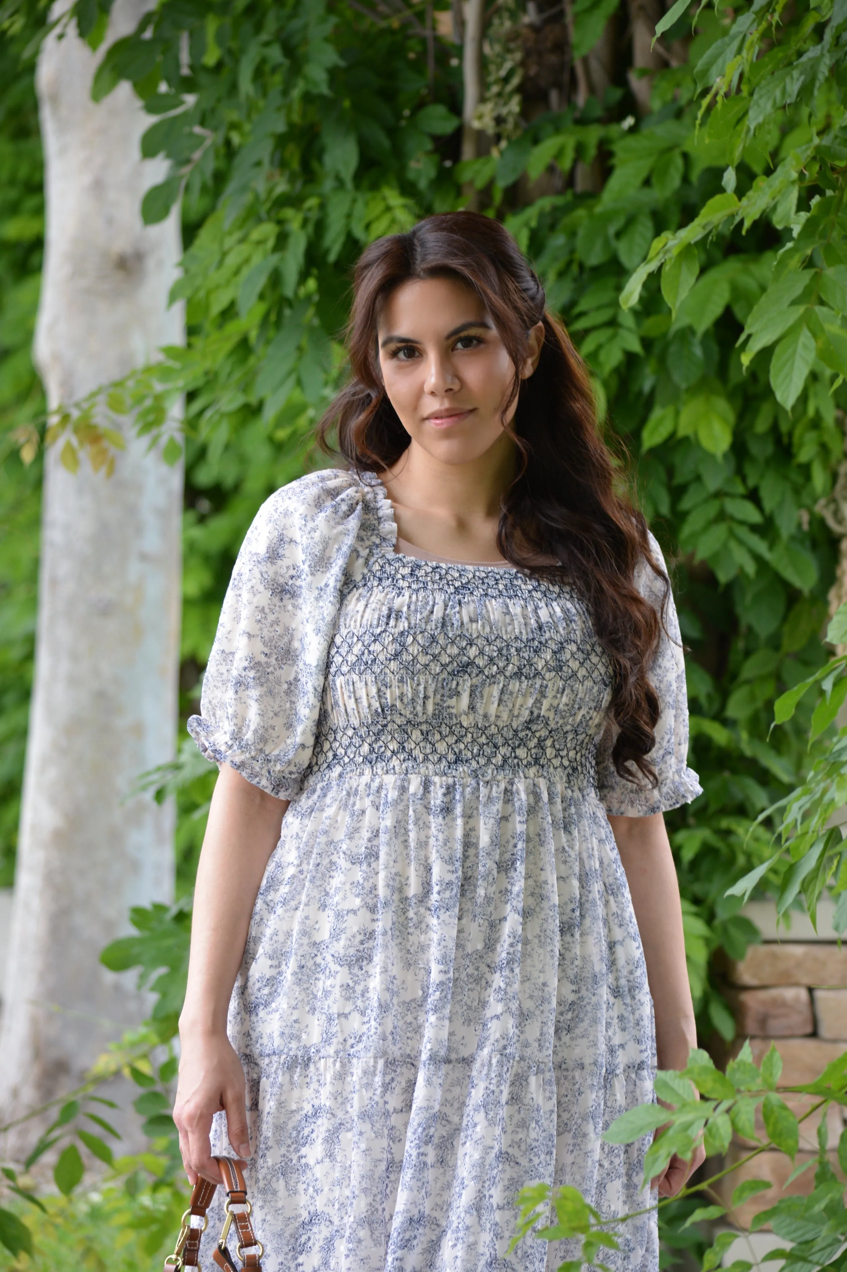 Alyssa Navy Toile Embroidered Dress