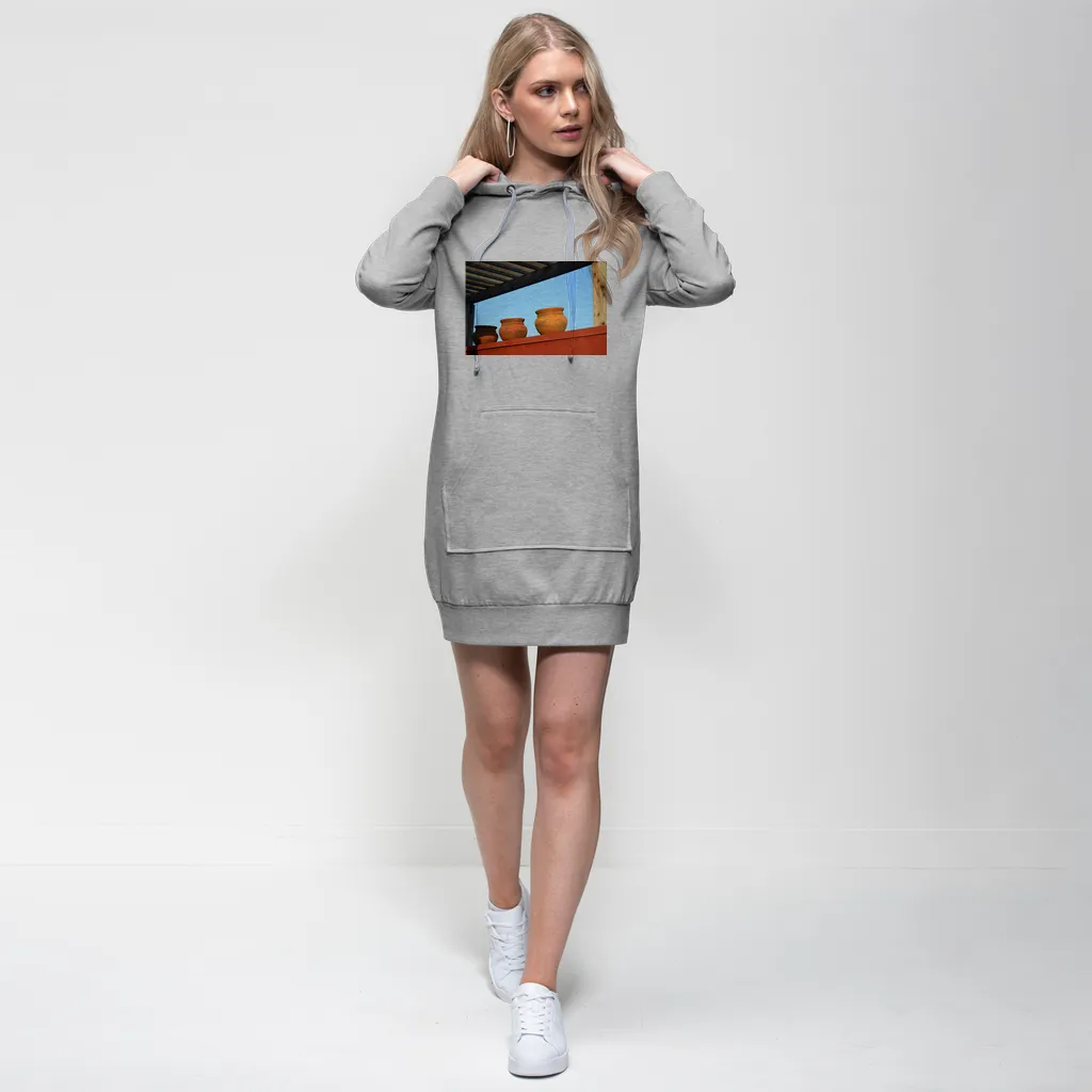 DecorativeVases2 Premium Adult Hoodie Dress