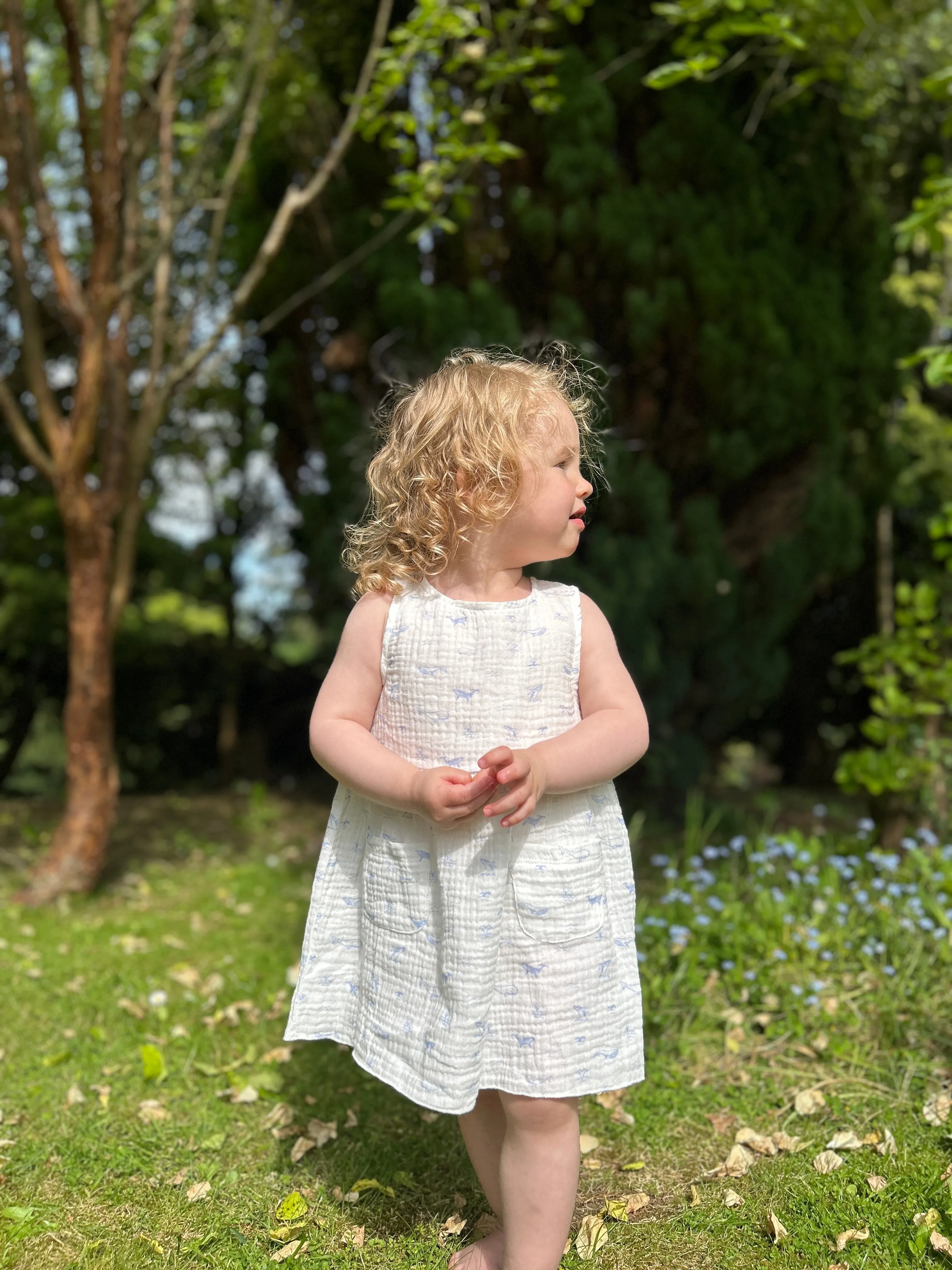 Iris Dress in White Whales